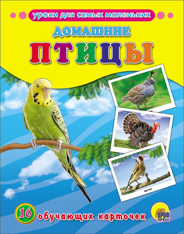 Zakazat.ru: Обучающие Карточки. Домашние Птицы