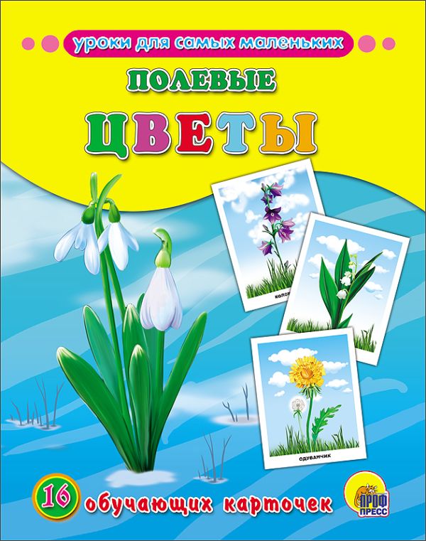 Zakazat.ru: Обучающие Карточки. Полевые Цветы
