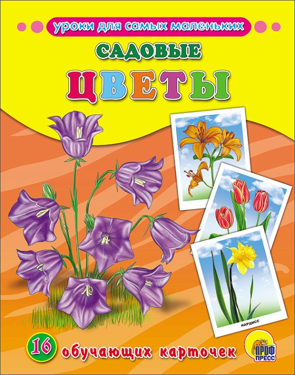 Zakazat.ru: Обучающие Карточки. Садовые Цветы