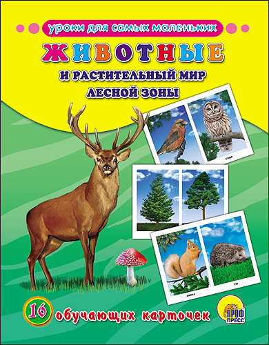 Zakazat.ru: Обучающие Карточки. Животные И Растительный Мир Лесной Зоны