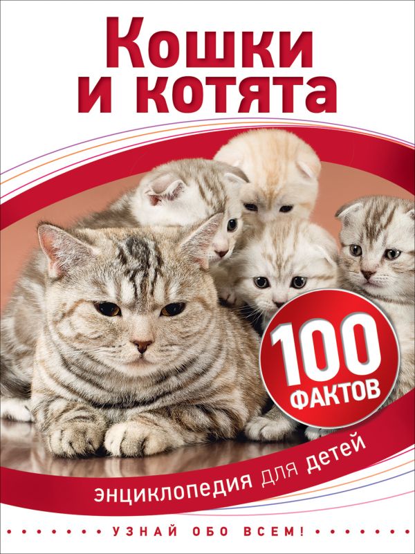 Кошки и котята. Паркер Стив