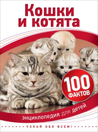 Кошки и котята Кошки и котята