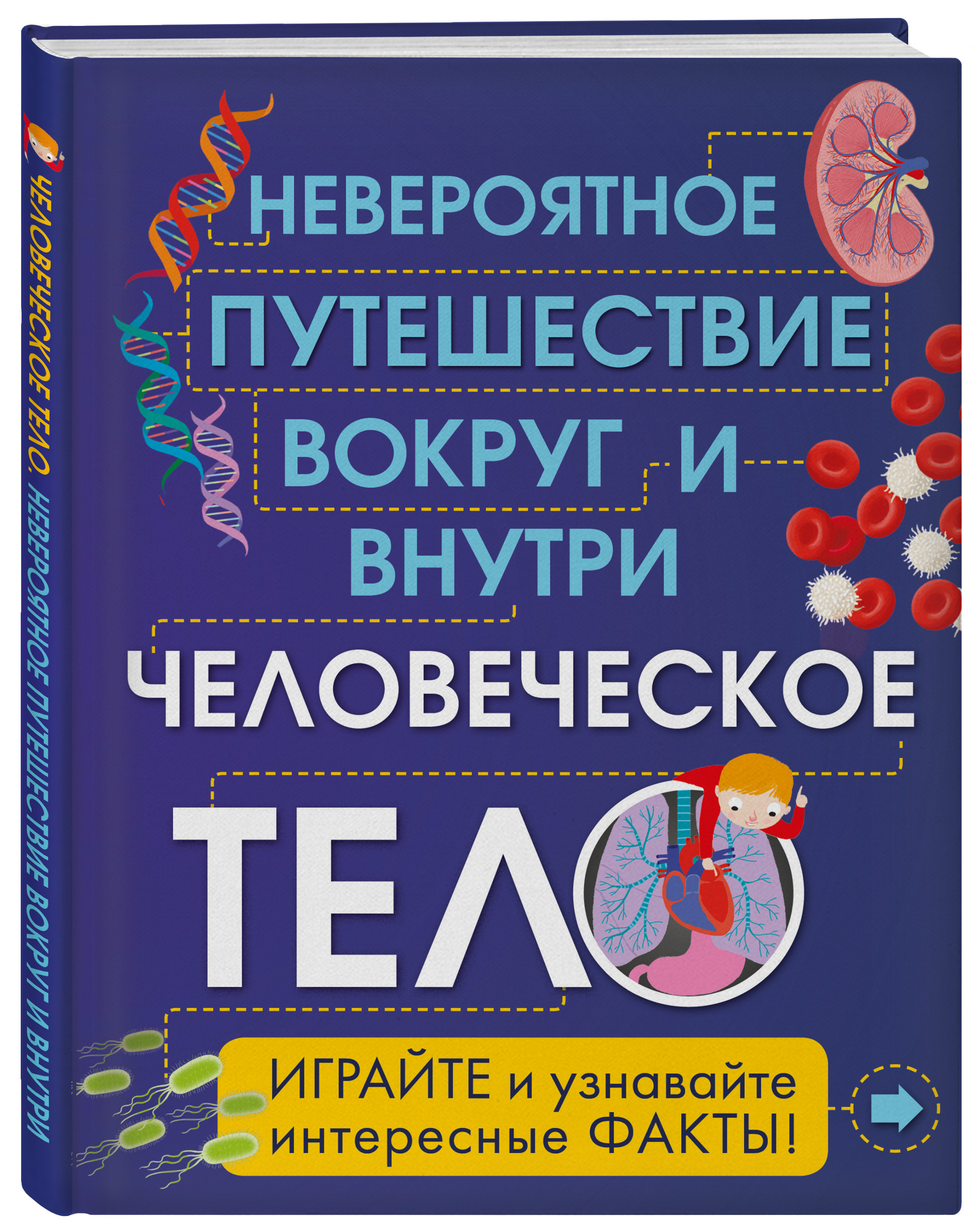 Человеческое тело. Невероятное путешествие вокруг и внутри