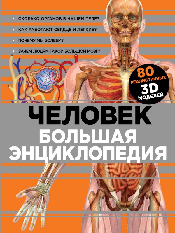 

Человек. Большая энциклопедия