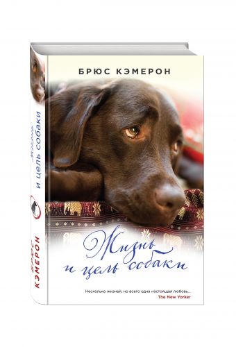 Жизнь и цель собаки Жизнь и цель собаки Кэмерон Б.