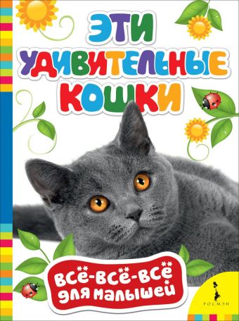Эти удивительные кошки Эти удивительные кошки