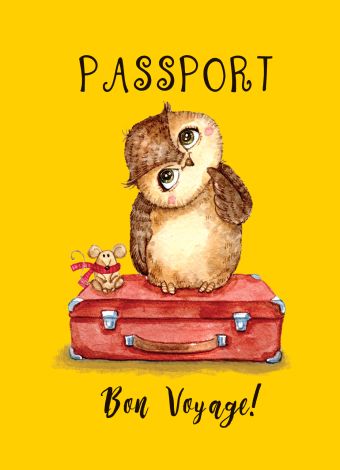 Сова-путешественница (обложка на паспорт)