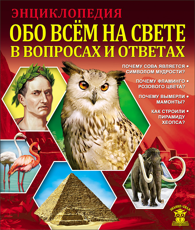 Энциклопедия вопросов и ответов. Большая энциклопедия знаний в вопросах и ответах. Энциклопедия обо всем на свете для детей. Свет в вопросах и ответах. Книги энциклопедии хочу знать.