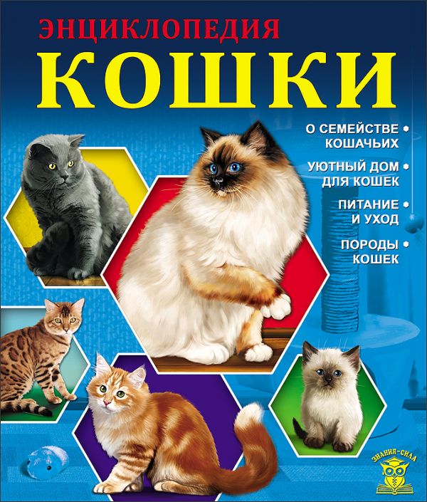 ЗНАНИЯ - СИЛА. КОШКИ ЗНАНИЯ - СИЛА. КОШКИ