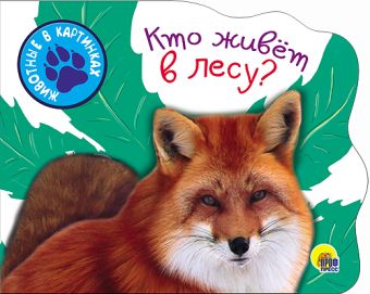 ВЫРУБКИ А5. КТО ЖИВЕТ В ЛЕСУ ВЫРУБКИ А5. КТО ЖИВЕТ В ЛЕСУ