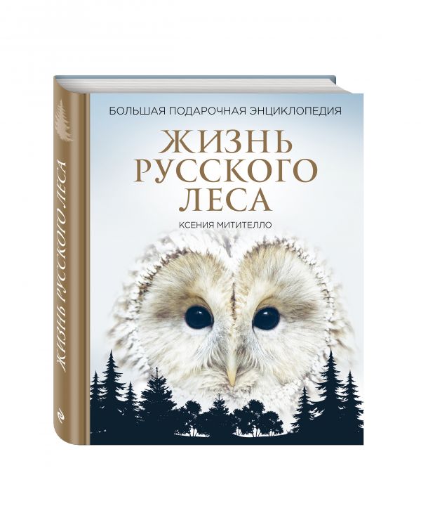 Жизнь русского леса. Большая подарочная энциклопедия (сова) Жизнь русского леса. Большая подарочная энциклопедия (сова) Митителло К.Б.