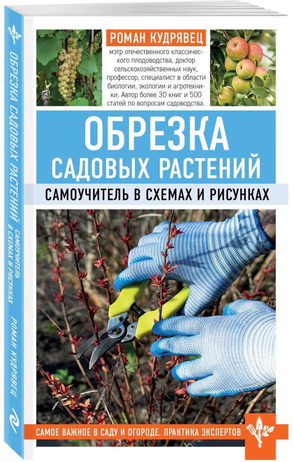 Обрезка плодовых и декоративных растений Обрезка плодовых и декоративных растений