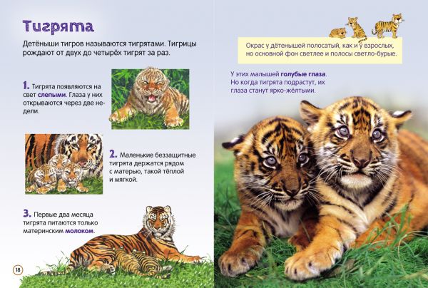 Zakazat.ru: Тигры. Маклейн Дж.