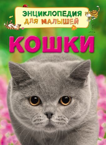 Кошки Кошки