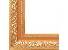 Багетные рамы 30*40. Jasmine (с.коричневый+золотой) (1242-BL)