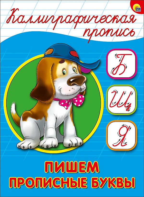 КАЛЛИГРАФИЧЕСКАЯ ПРОПИСЬ А5. ПИШЕМ ПРОПИСНЫЕ БУКВЫ КАЛЛИГРАФИЧЕСКАЯ ПРОПИСЬ А5. ПИШЕМ ПРОПИСНЫЕ БУКВЫ
