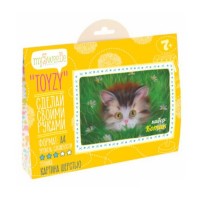 

НАБОР TOYZY КОТИК - КАРТИНА ШЕРСТЬЮ, ФОРМАТ А4