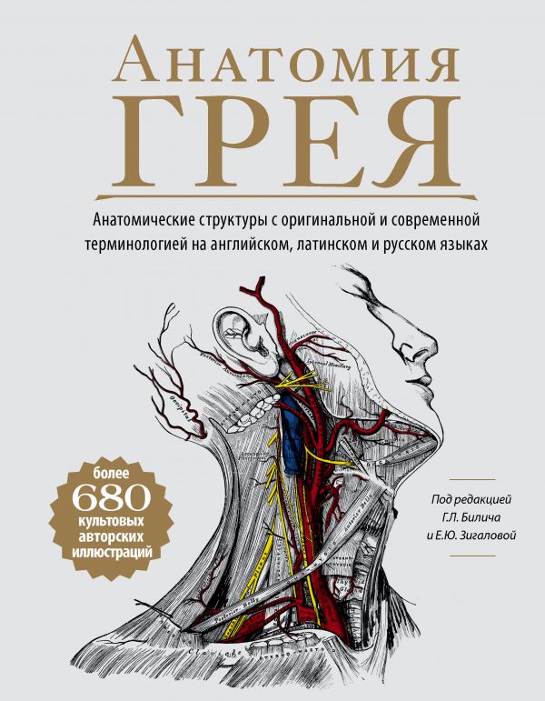 Анатомия Грея. Анатомические структуры с оригинальной и современной терминологией на английском, латинском и русском языках. Билич Габриэль Лазаревич, Зигалова Елена Юрьевна