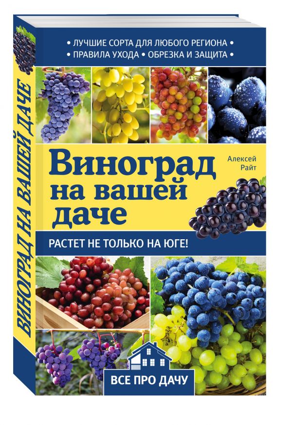Виноград на вашей даче. Растет не только на юге! Виноград на вашей даче. Растет не только на юге!