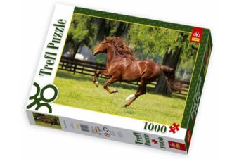 Пазл 1000 дет. "Мчатся кони" Пазл 1000 дет. "Мчатся кони" Trefl