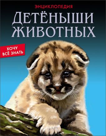 Детёныши животных Детёныши животных Калугина Леся