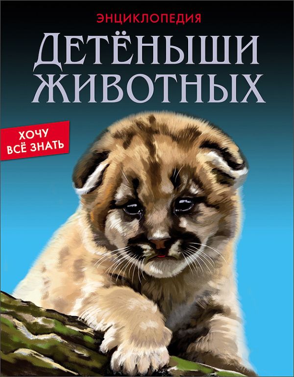 Детёныши животных Детёныши животных Калугина Леся