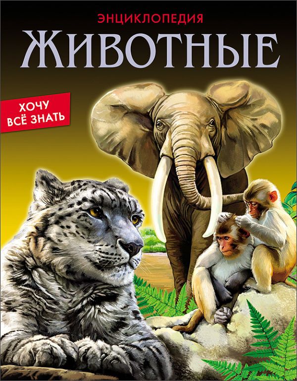 Животные Животные Соколова Ярослава