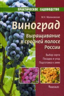 Виноград. Выращивание в средней полосе России.