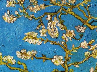 обложка для паспорта ван гог цветущие ветки миндаля Кардхолдер. Ван Гог. Цветущие ветки миндаля (Арте)