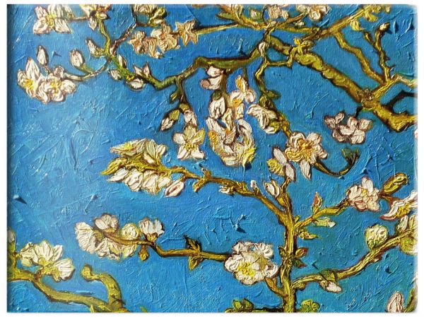 Чехол для карточек. Ван Гог. Цветущие ветки миндаля (Арте) Чехол для карточек. Ван Гог. Цветущие ветки миндаля (Арте)