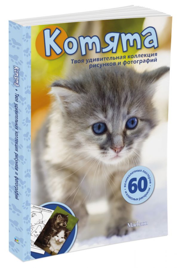 Котята Котята Сэл Эмма