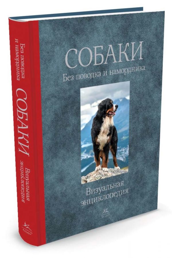Собаки. Без поводка и намордника Собаки. Без поводка и намордника Пикерел Т.