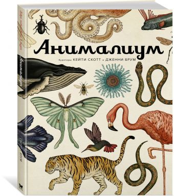 Анималиум Анималиум Брум Дженни