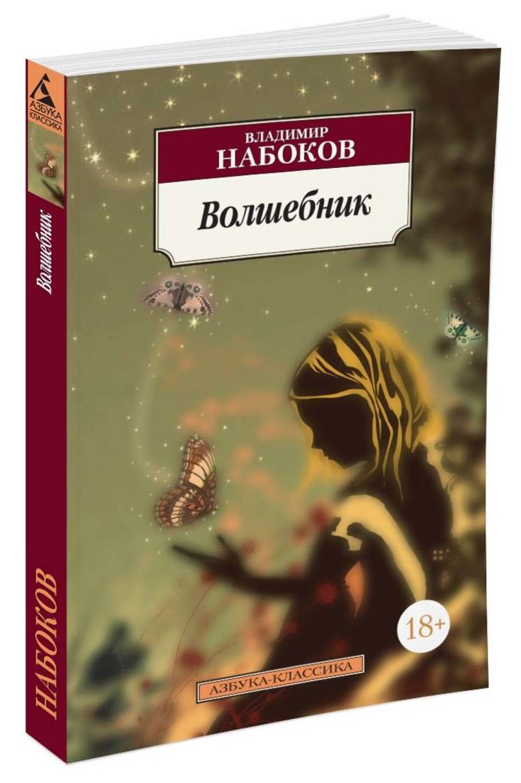 Читать бесплатно электронную книгу Волшебник. Владимир Владимирович ...
