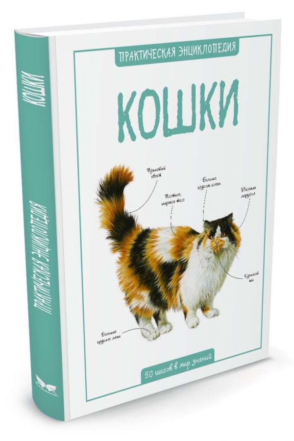 Кошки Кошки Бедуайер К.