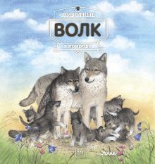 Животные в природе. Волк