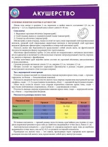 Акушерство