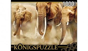 

Königspuzzle. ПАЗЛЫ 1000 элементов. КБК1000-6464 СТАДО СЛОНОВ