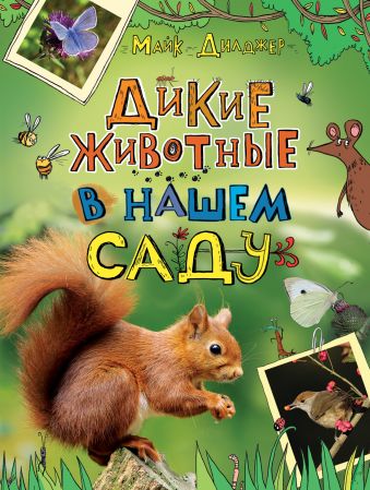 

Дикие животные в нашем саду