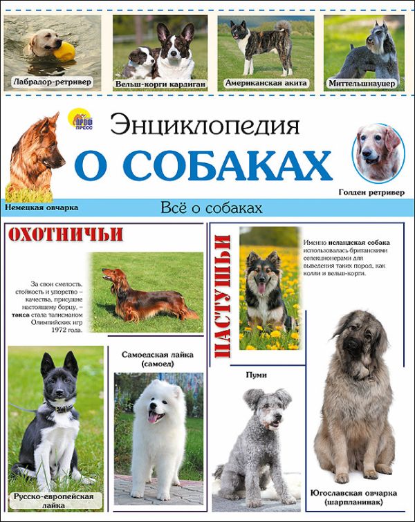ЭНЦИКЛОПЕДИЯ. ЭНЦИКЛОПЕДИЯ О СОБАКАХ(10шт) ЭНЦИКЛОПЕДИЯ. ЭНЦИКЛОПЕДИЯ О СОБАКАХ(10шт) Тяжлова Ольга