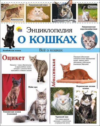 ЭНЦИКЛОПЕДИЯ. ЭНЦИКЛОПЕДИЯ О КОШКАХ(10шт) ЭНЦИКЛОПЕДИЯ. ЭНЦИКЛОПЕДИЯ О КОШКАХ(10шт)