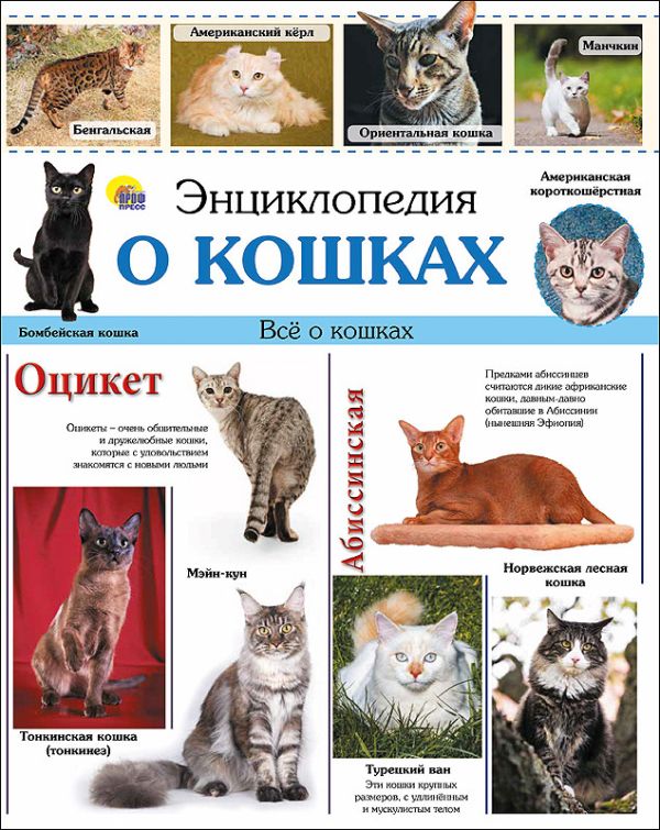 ЭНЦИКЛОПЕДИЯ. ЭНЦИКЛОПЕДИЯ О КОШКАХ(10шт) ЭНЦИКЛОПЕДИЯ. ЭНЦИКЛОПЕДИЯ О КОШКАХ(10шт)