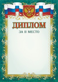 Диплом за II место Диплом за II место