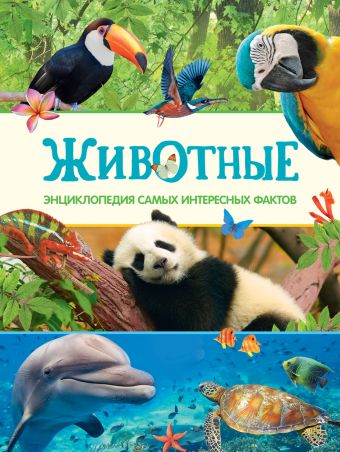 Животные. Энциклопедия самых интересных фактов Животные. Энциклопедия самых интересных фактов Дэвидсон С.
