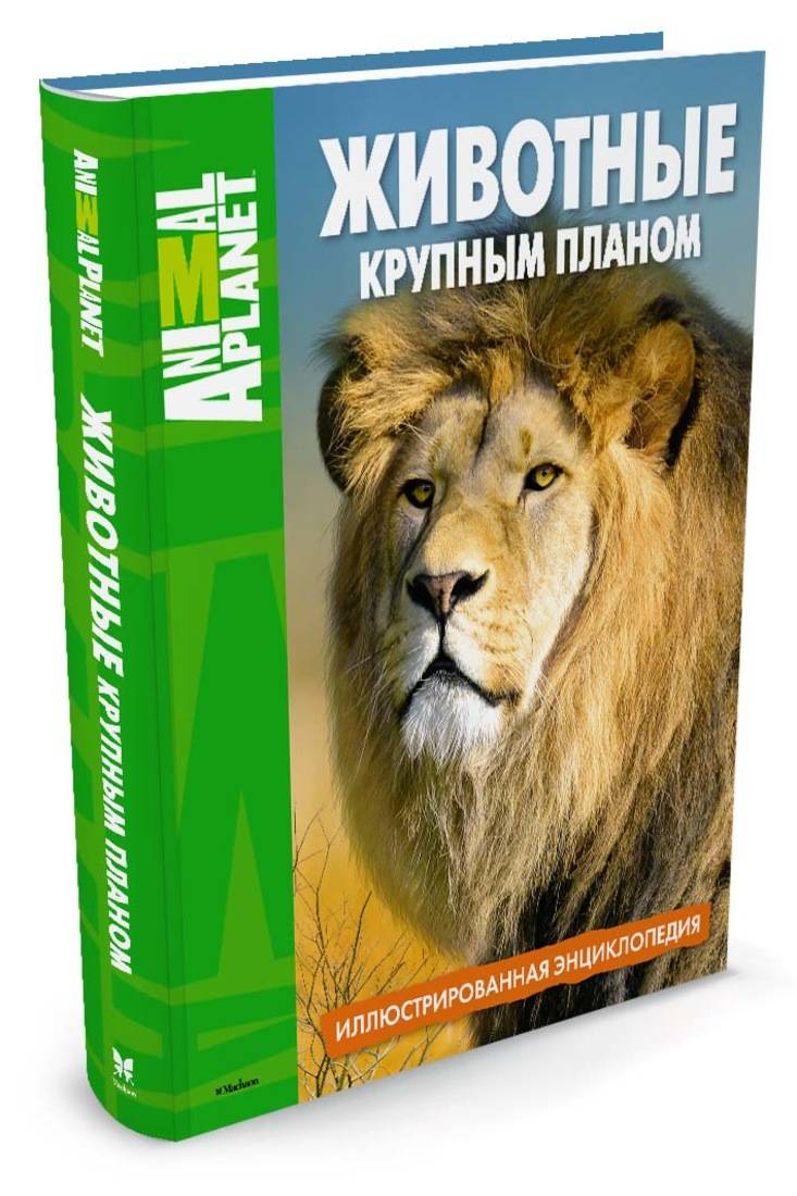 Животные крупным планом. Иллюстрированная энциклопедия. Animal Planet