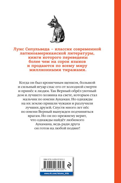 история пса по имени верный краткое содержание. Смотреть фото история пса по имени верный краткое содержание. Смотреть картинку история пса по имени верный краткое содержание. Картинка про история пса по имени верный краткое содержание. Фото история пса по имени верный краткое содержание