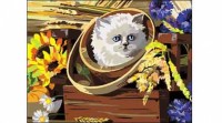 

Раскраска по номерам. Формат А4. КОТЁНОК (Арт. Р-5651)