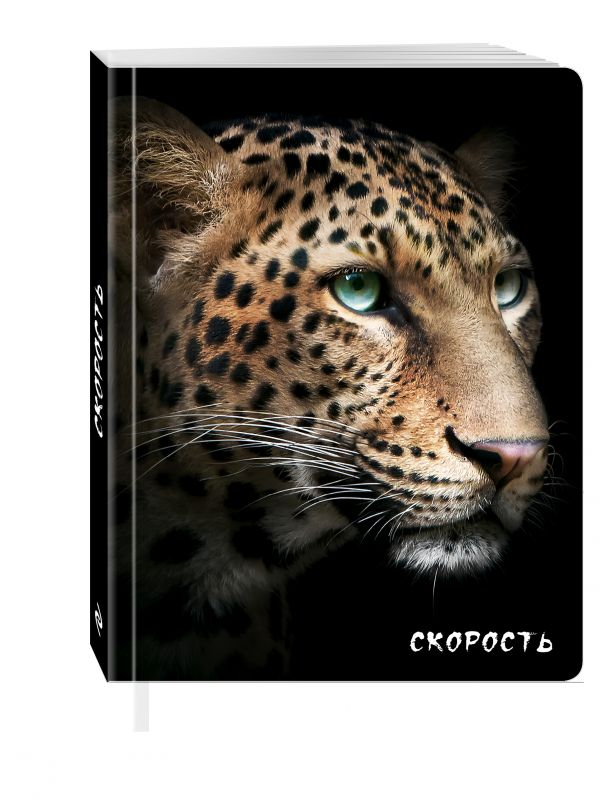 Скорость (Гепард) Скорость (Гепард)