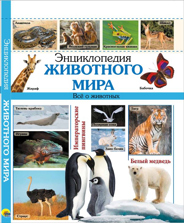 ЭНЦИКЛОПЕДИЯ ЖИВОТНОГО МИРА наша ЭНЦИКЛОПЕДИЯ ЖИВОТНОГО МИРА наша