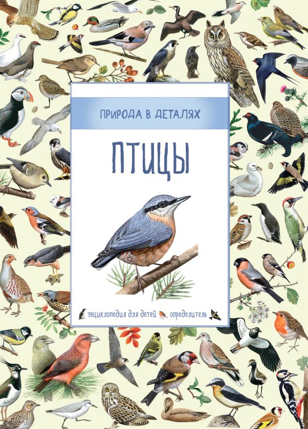 Птицы (Природа в деталях) Птицы (Природа в деталях) Дэвидсон С., Корто С., Дейвис К.